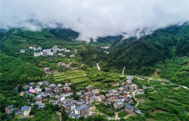 農業農村部：鼓勵社會資本投入現代種養業等重點産(chǎn)業和領域