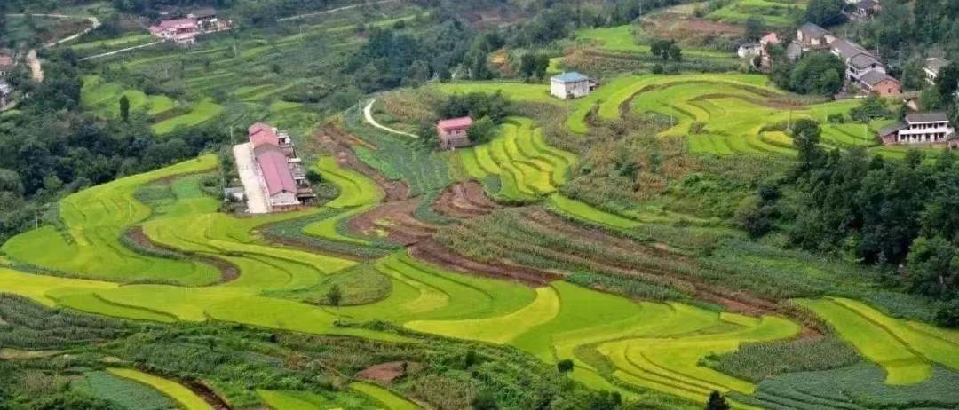 廣東省将探索具(jù)有(yǒu)廣東特色的自然資源高水平保護高效率利用(yòng)新(xīn)模式