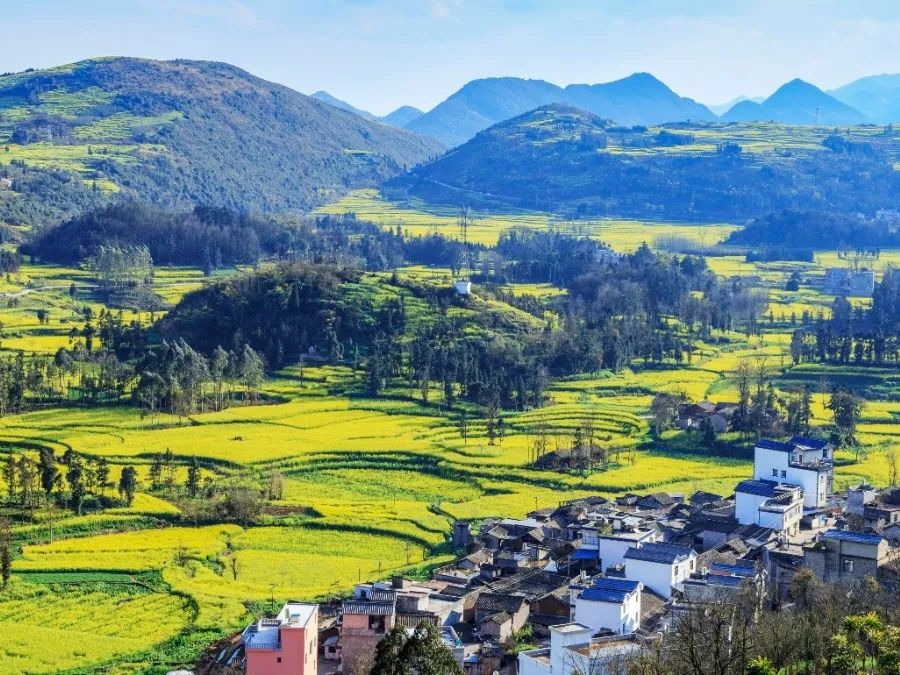 廣東印發《廣東省鄉村振興用(yòng)地政策指引》 加強用(yòng)地監管