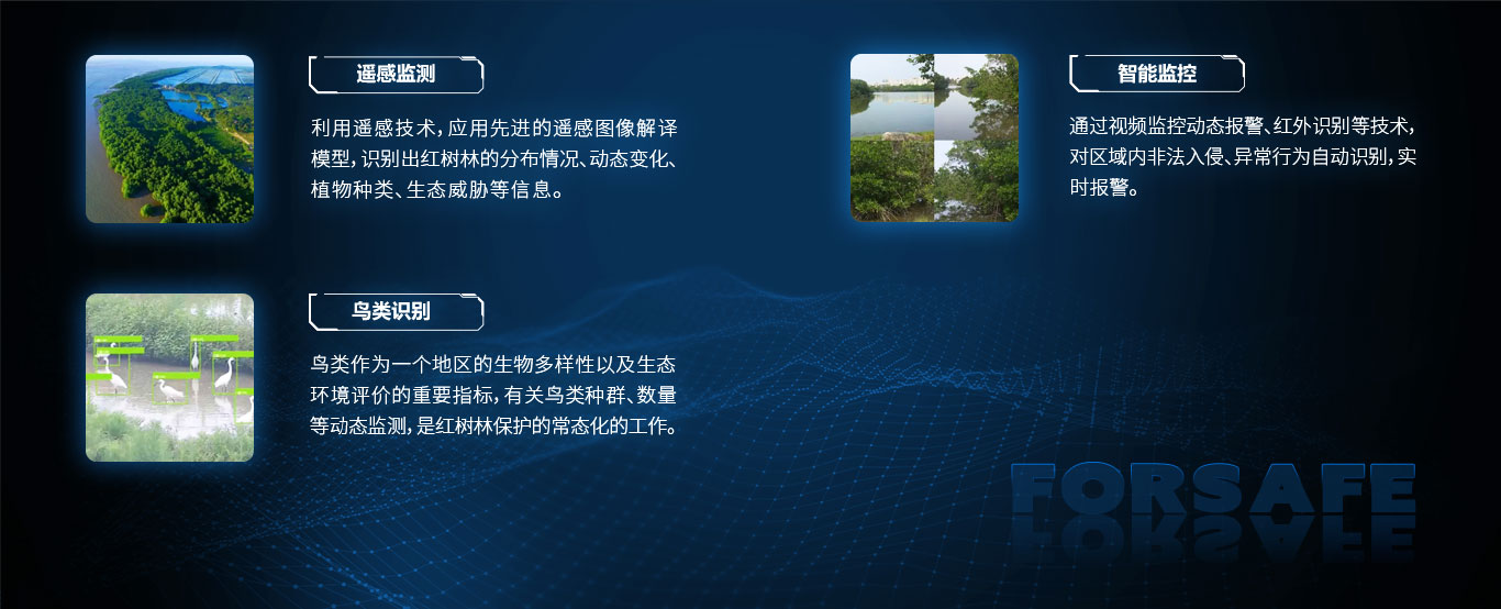 紅樹林資源立體(tǐ)監測.jpg
