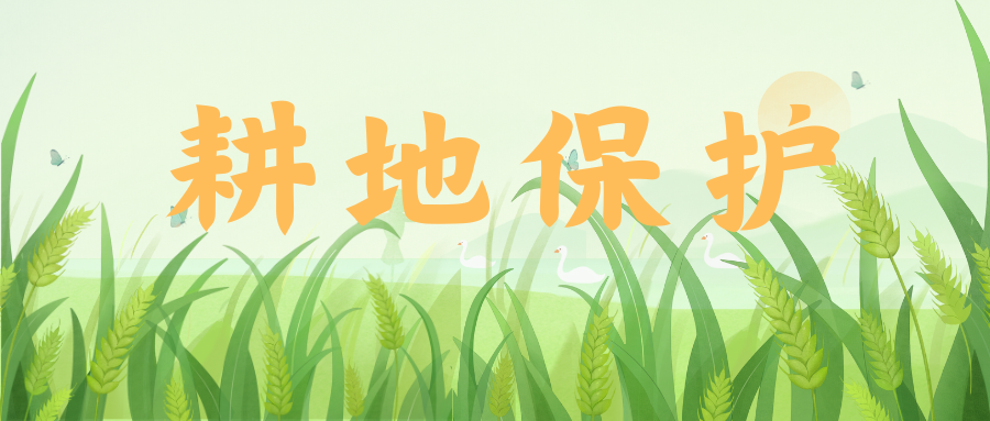 以“長(cháng)牙齒”的硬措施保護耕地！最高檢、自然資源部聯合發布典型案例